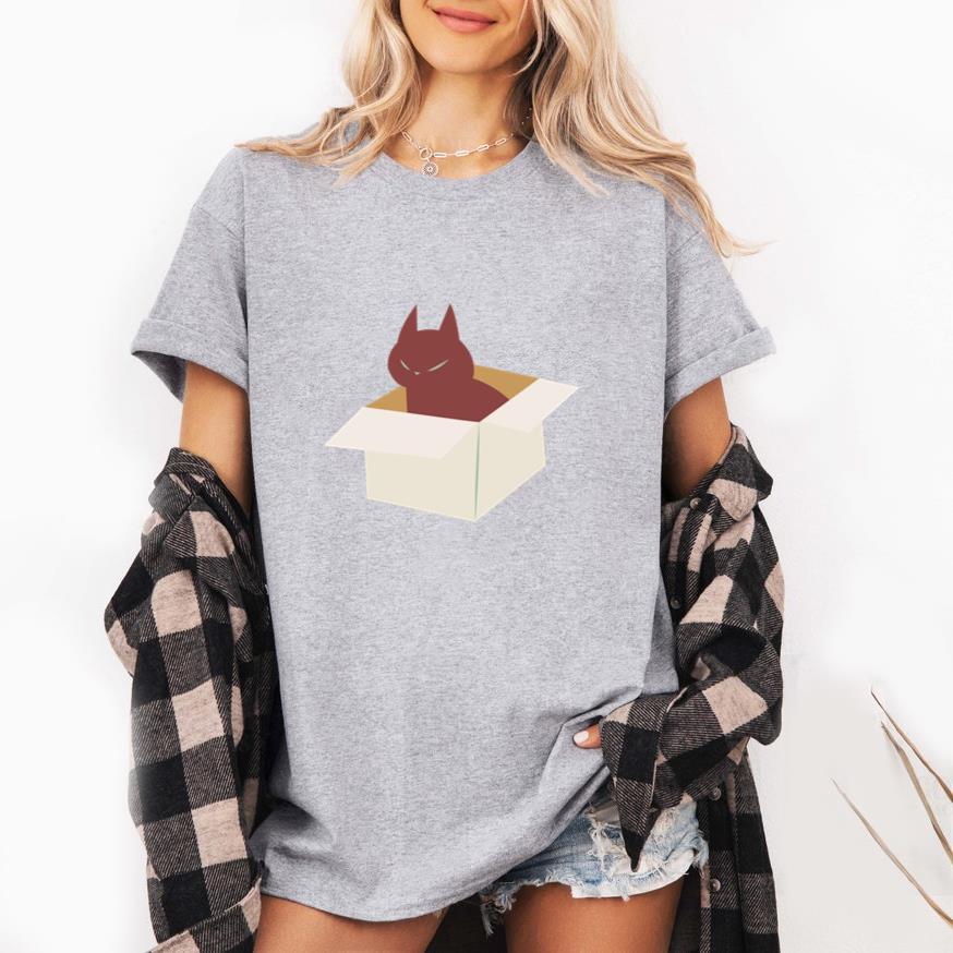 Cat Flat In A Box T-Shirt